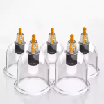 Vacuum Cupping Factory - Wholesale Complete Model Single Extractor