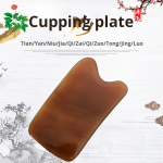 Scraping Board Factory - Natural Ox Horn Thickened Square Design