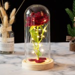 Immortal Rose Gift Manufacturer - Valentine's Day LED Glass Cover