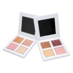 Makeup Powder Manufacturer - 2022 Hot 4 Color Mineral Concealer