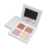 Makeup Powder Manufacturer - 2022 Hot 4 Color Mineral Concealer