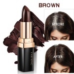 Hair Color Stick Factory - 2022 Wholesale Cover Gray Instant