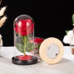 Immortal Rose Gift Manufacturer - Valentine's Day LED Glass Cover