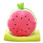 Pillow Blanket Manufacturer - Tiktok Hot Selling 2 in 1 Multi-functional