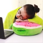 Pillow Blanket Manufacturer - Tiktok Hot Selling 2 in 1 Multi-functional