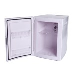 Cosmetics Refrigerator Factory - 2023 Hot Portable Ladies High-end