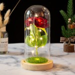 Immortal Rose Gift Manufacturer - Valentine's Day LED Glass Cover