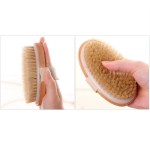 Bath Body Brush Factory - OEM Natural Bristle Long Handle Detachable
