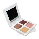 Makeup Powder Manufacturer - 2022 Hot 4 Color Mineral Concealer