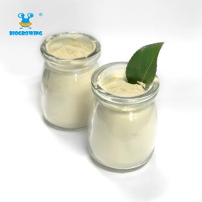 100 Billion CFU/g High Quality bacillus coagulans probiotic Powder Bacillus Coagulans powder