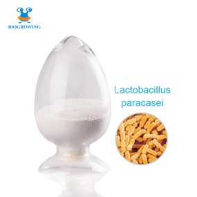 Probiotics strain Probiotic Powder Lactobacillus paracasei
