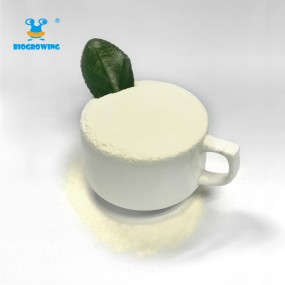 High potency Probiotic Bulk Freeze-dried  Probiotic Powder Bifidobacterium Breve