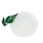 200 Billion CFU per gram Freeze-dried Bifidobacterium Bifidum Probiotic Powder