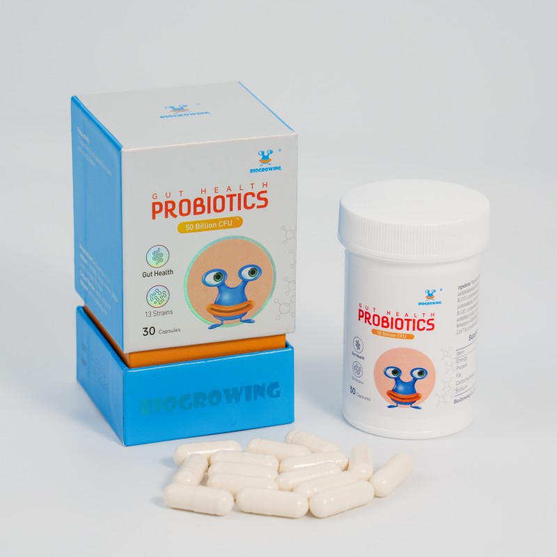 OEM Gut Health  Probiotics Supplement Capsule