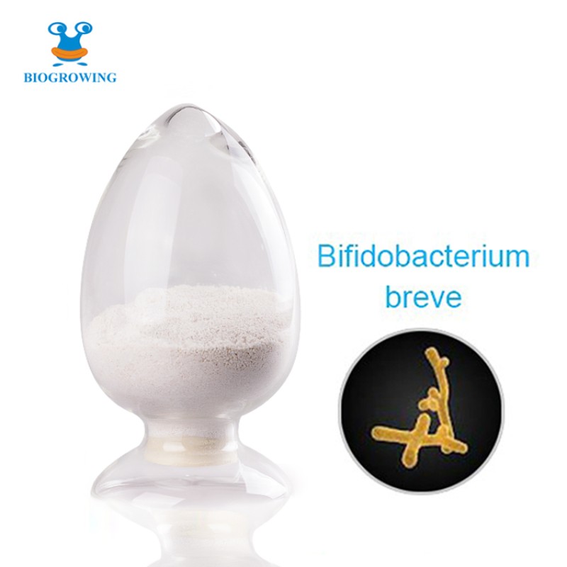 High Quality 300billion CFU/g Freeze-dried Bifidobacterium breve