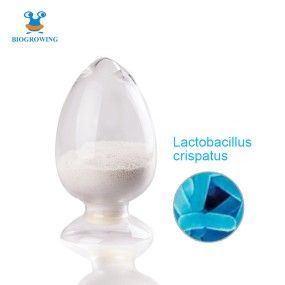 Women's Probiotic - Lactobacillus Crispatus 150 Billion CFU/g for Vaginal Health