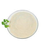 200 Billion CFU per gram Freeze-dried Bifidobacterium Bifidum Probiotic Powder