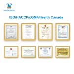 c-GMP factory  500 billion CFU/g Health Care Supplement Lactobacillus Plantarum Probiotics