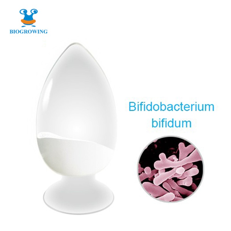 200 Billion CFU per gram Freeze-dried Bifidobacterium Bifidum Probiotic Powder