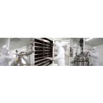 500 Billion CFU/g High Potency GMP Factory Bifidobacterium lactis