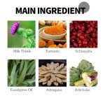 Nasal Inhaler Supplier - Obstruction Relief Clean Device