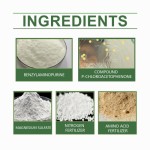 Plant Growth Agent Manufacturer - Concentrated Fertilizer Spray