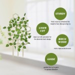 Wooden Plant Trellis Manufacturer - Custom Garden Climbing Pergola Support