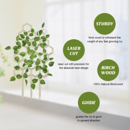 Wooden Plant Trellis Manufacturer - Custom Garden Climbing Pergola Support