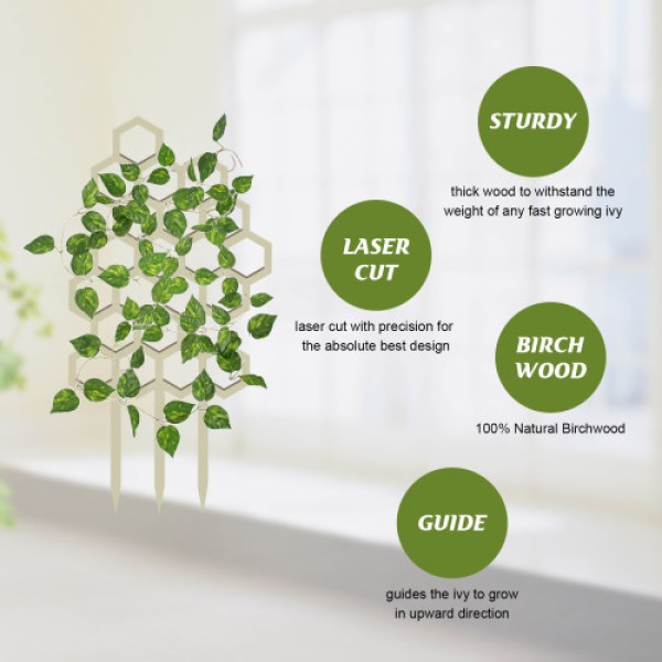 Wooden Plant Trellis Manufacturer - Custom Garden Climbing Pergola Support