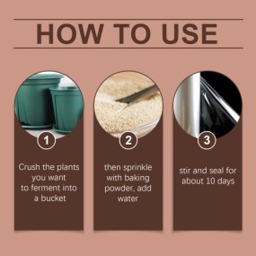 Organic Biocatalyst Manufacturer - Plant Pot Flower Nutrition