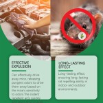 Plastic Restorer Factory - Interior Dashboard Polish