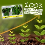 Rooting Powder Factory - Plant Seedling Transplant Nutrition