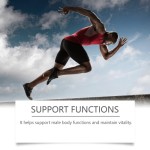 Male Health Tea Manufacturer - Prostate Support Supplement