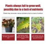 Slow Release Tablets Factory - Organic Compound Flower Fertilizer