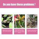 Liquid Spray Plant Manufacturer - Desert Rose Soil Nutrition