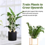 Flower Arrangement Support Factory - Wooden Balcony Decoration Trellis