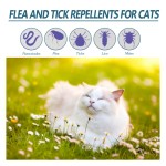 Pet Flea Treatment Factory - External Deworming Tick Drops