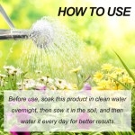 Flower Pot Fertilizer Supplier - Green Leaf Root Growth Nutrient