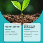 Hydroponic Fertilizer Factory - Lawn Green Leaf Growth Concentrate