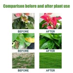 Plant Solution Manufacturer - Foliar Slow-Release Garden Fertilizer