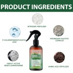 Succulent Fertilizer Supplier - 3-1-2 Liquid Spray Green Plant