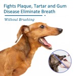 Pet Oral Spray Supplier - Tartar Bad Breath Clean