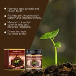 Soil Activator Supplier - Mild Granular Controlled Release Fertilizer