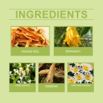 Lung Tea Supplier - Herbal Clear Care Body