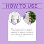 Orchid Nutrient Solution Factory - Flower Green Plant Growth Agent