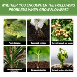 Flower Pot Fertilizer Supplier - Green Leaf Root Growth Nutrient