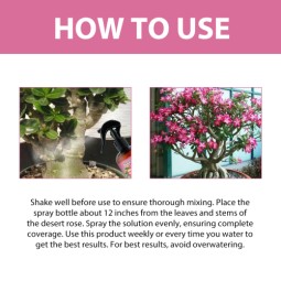 Liquid Spray Plant Manufacturer - Desert Rose Soil Nutrition