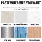 Plant Holder Supplier - Wall Climbing Self-adhesive