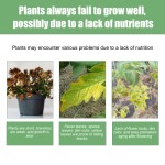 Liquid Fertilizer Supplier - Concentrated Trace Element Solution