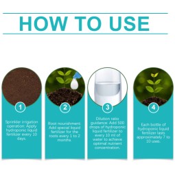 Hydroponic Fertilizer Factory - Lawn Green Leaf Growth Concentrate